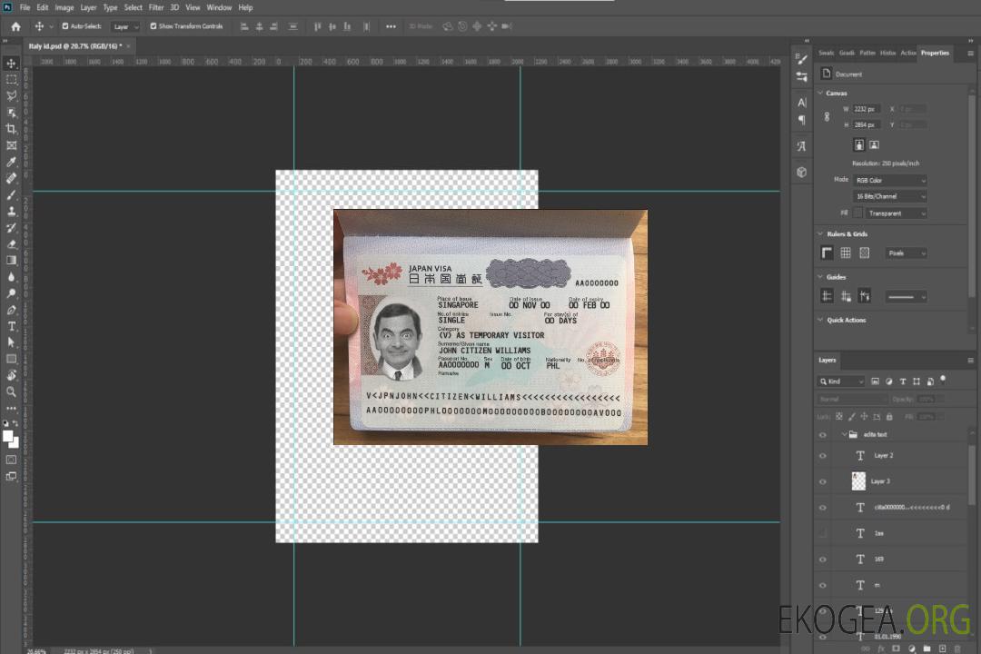 Modèle de visa touristique japonais au format PSD, entièrement modifiable, aspect photo template